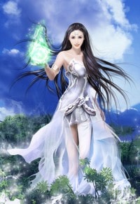 王的女人